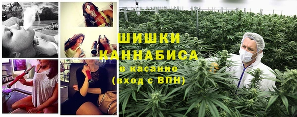 ГАЛЛЮЦИНОГЕННЫЕ ГРИБЫ Абинск