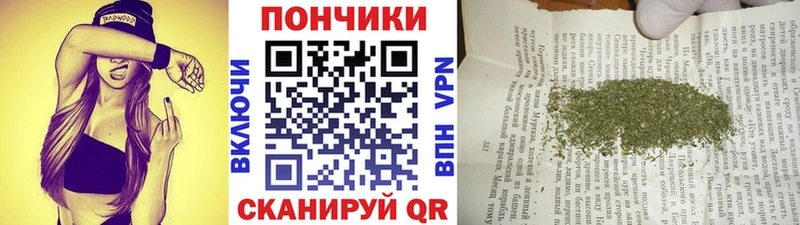 Каннабис SATIVA & INDICA  ссылка на мегу онион  Инза 